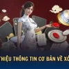 Công Thức Đánh Xóc Đĩa Được Yêu Thích Nhất Tại Casino Online Vietnam