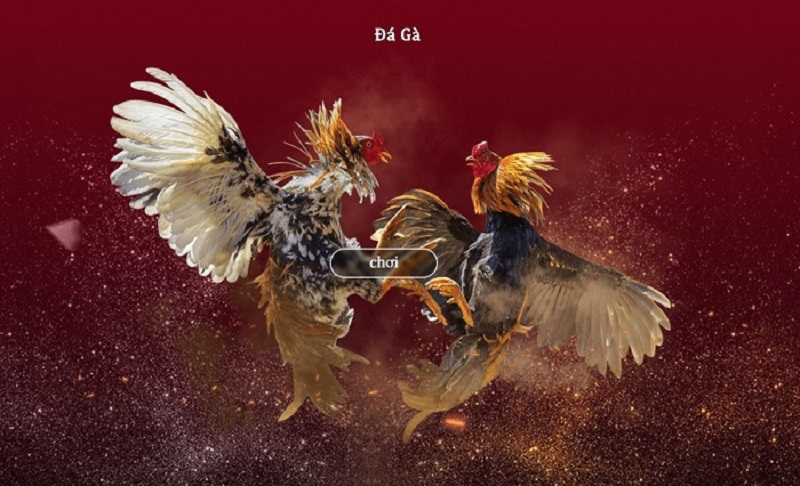 đá Gà Trực Tuyến