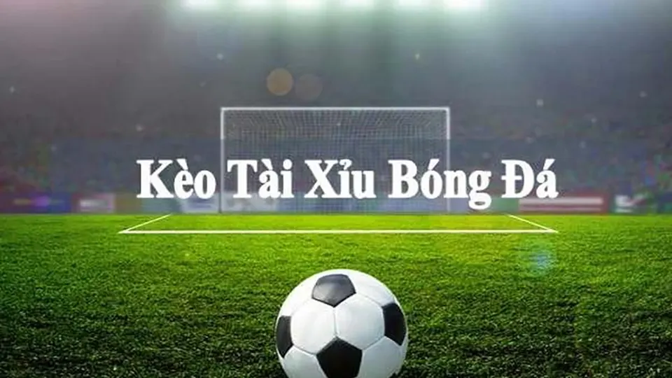 Tài Xỉu Và Các Loại Cược