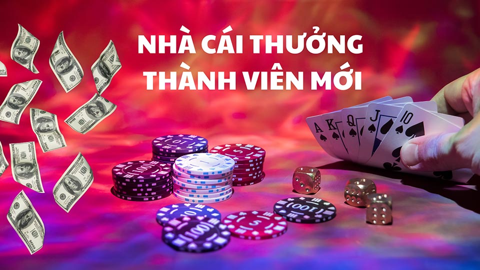 Nhà Cái Khuyến Mãi