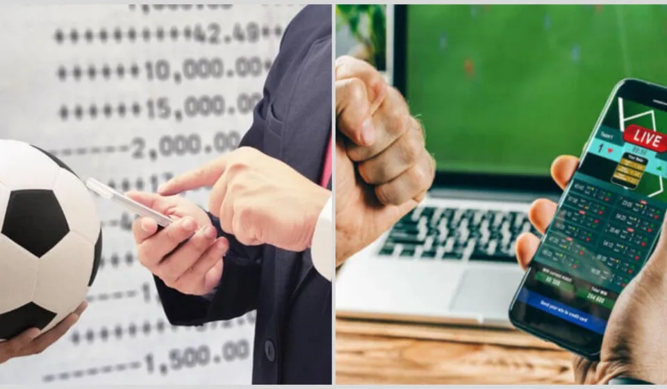 Cá bóng đá phổ biến