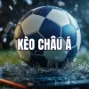 Tỷ Lệ Bóng Đá Châu Á: Bí Kíp Hiểu Kèo & Cá Cược Thông Minh