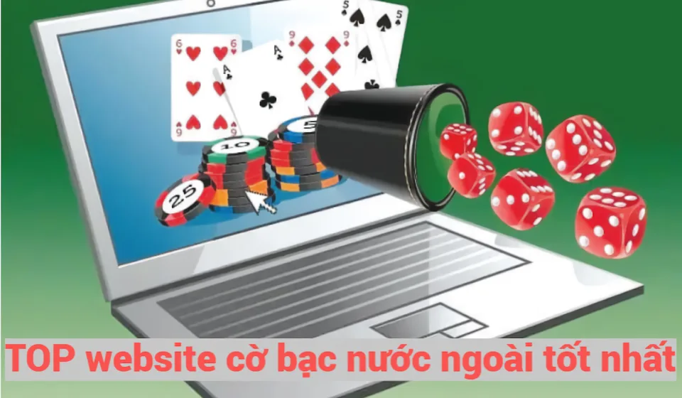 Đánh giá trang web cá cược