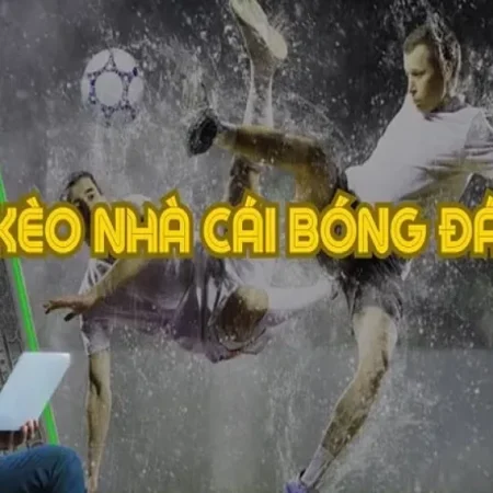 Các kèo bóng 88 phổ biến Hướng dẫn cược cho người mới và chuyên gia