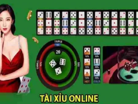 Tính Toán Xác Suất Tài Xỉu: Bí Quyết Tối Ưu Chiến Lược Và Nâng Cao Tỷ Lệ Thắng